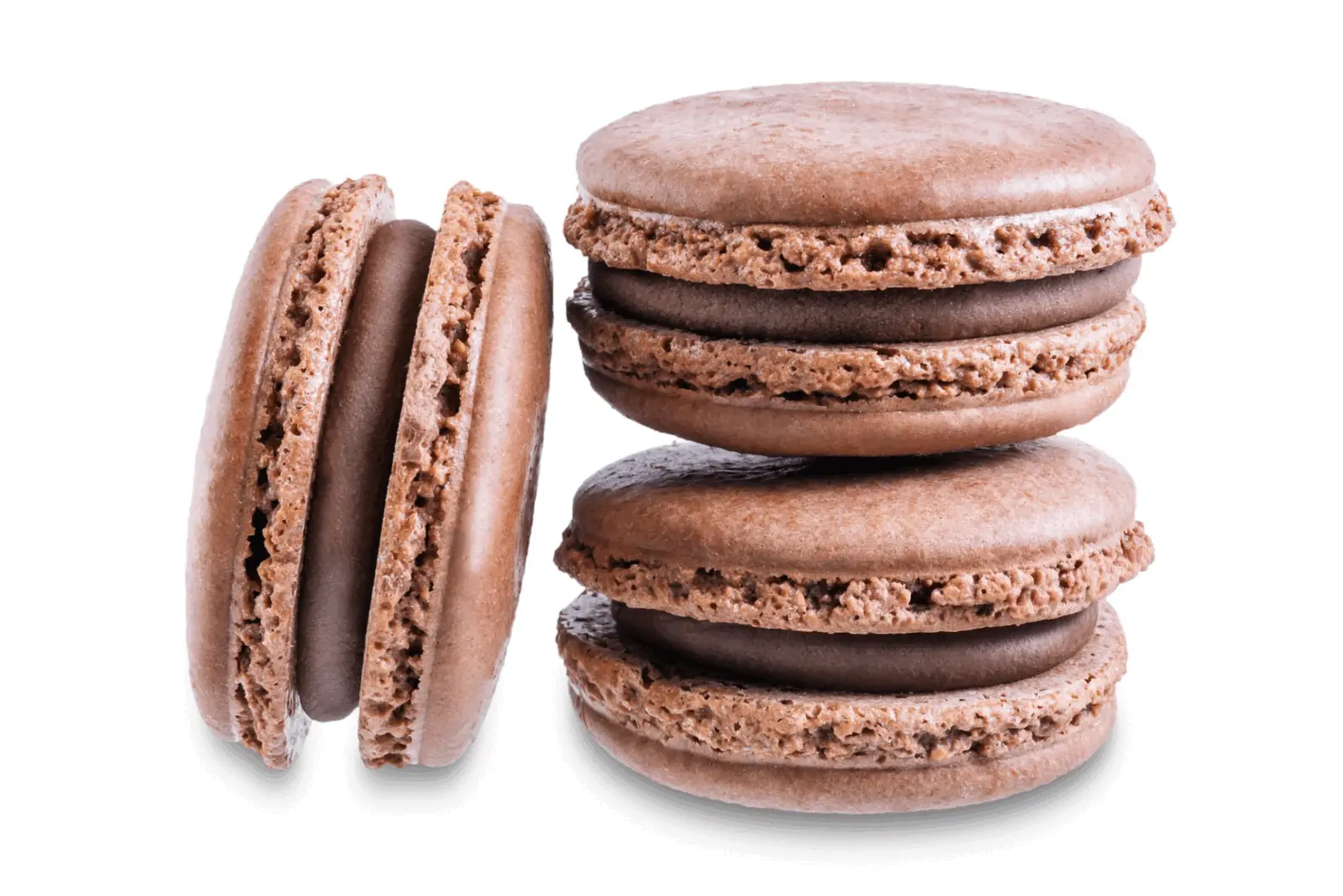 Chocolate Macaroons - Macaroons